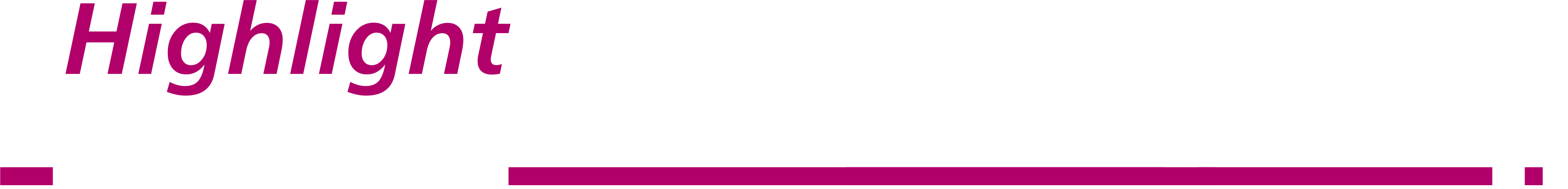 logo footer